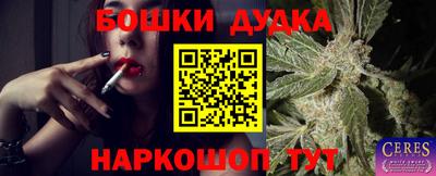 мдпв Пенза
