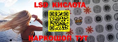 прущие грибы Партизанск