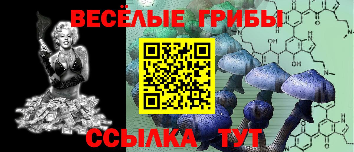 Псилоцибиновые грибы Magic Shrooms Вологда