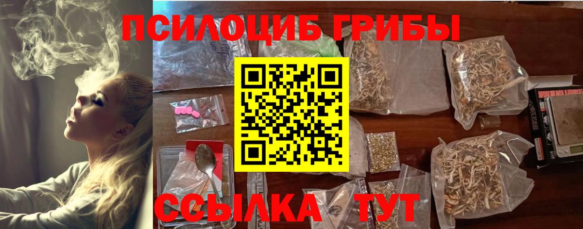 Вологда  Псилоцибиновые грибы мухоморы  Галлюциногенные грибы прущие грибы  купить наркотики цена  Вход с VPN 