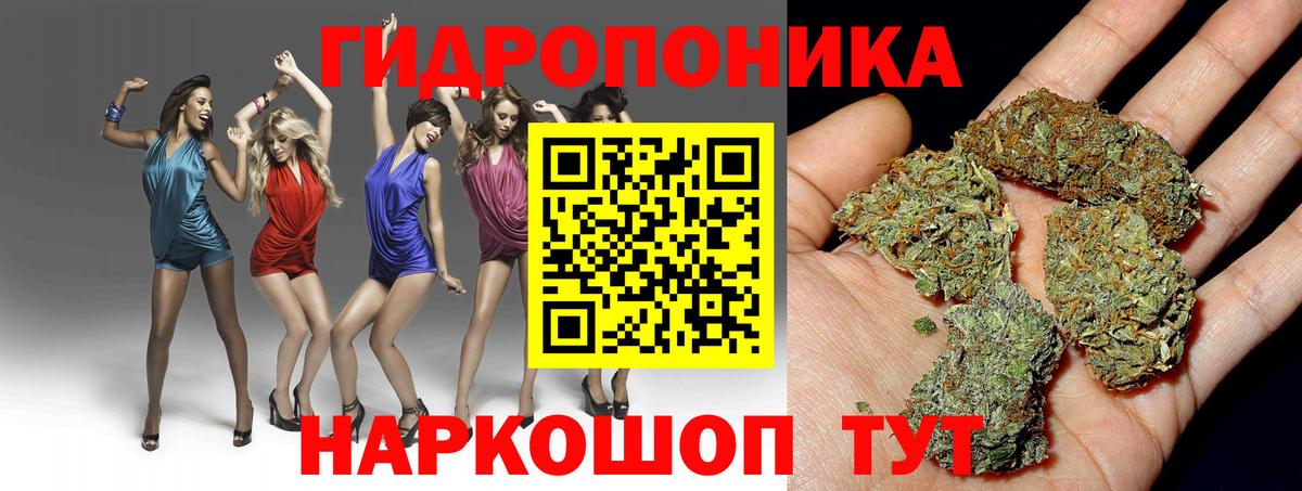 Вологда  Шишки марихуана план  Марихуана OG Kush  Марихуана VHQ  Вход с VPN 